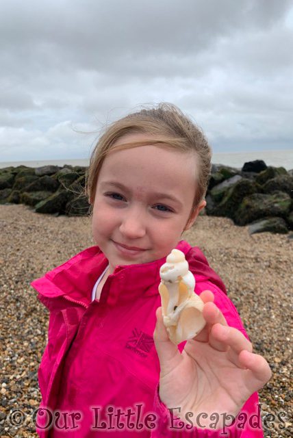 little e holding shell clacton-on-sea