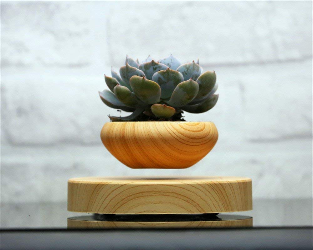 cactus wooden airsai floating plant pot