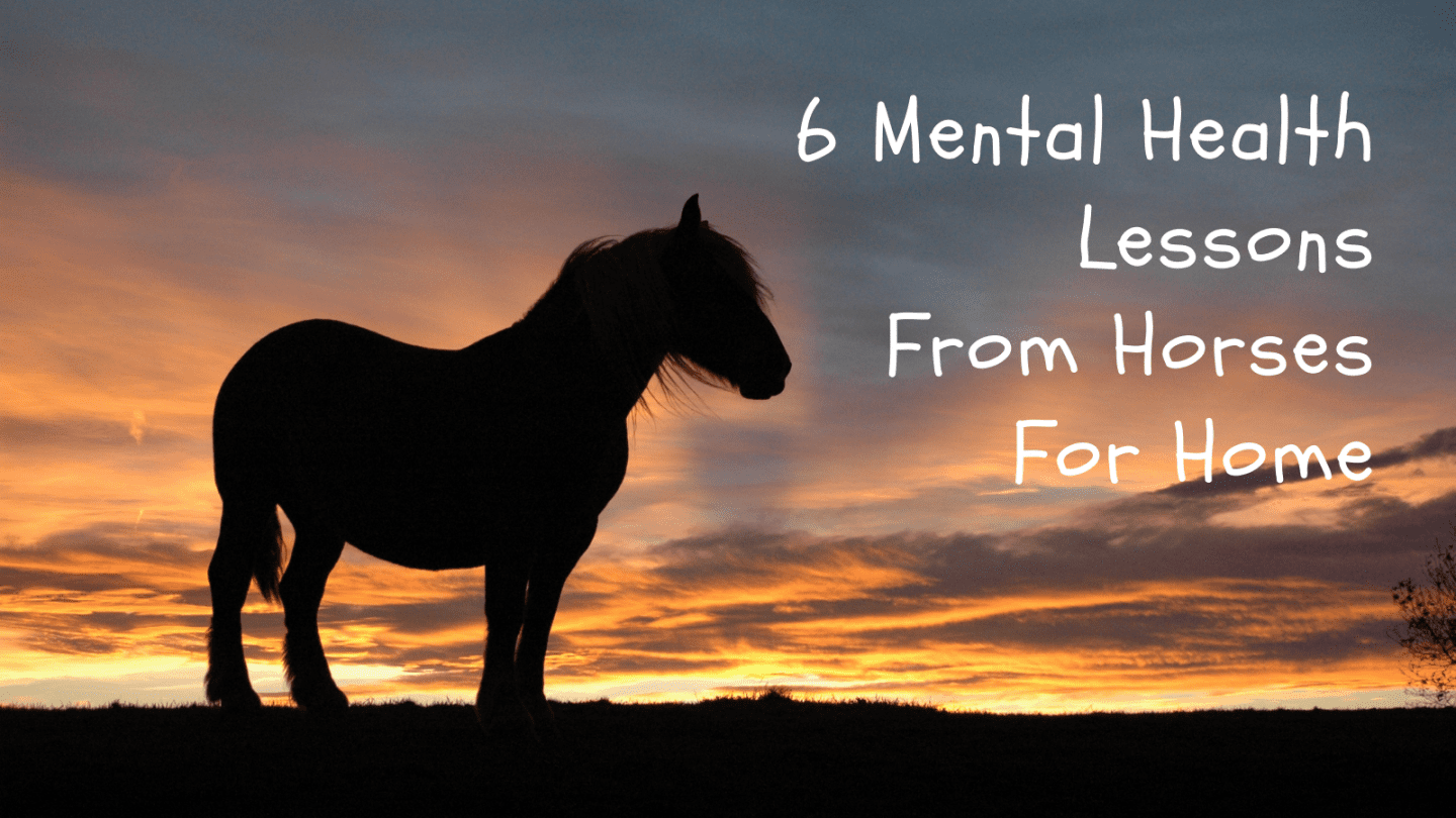 6 Mental Health Lessons From Horses For Home