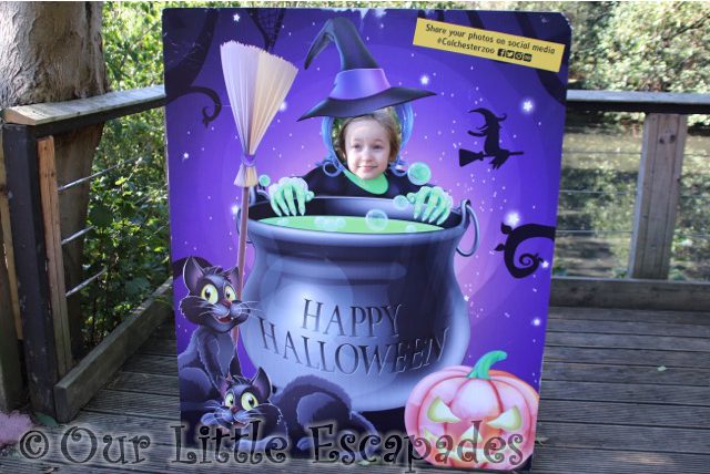 little e witch cauldron halloween board