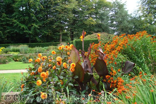 orange flowers garden castle drogo
