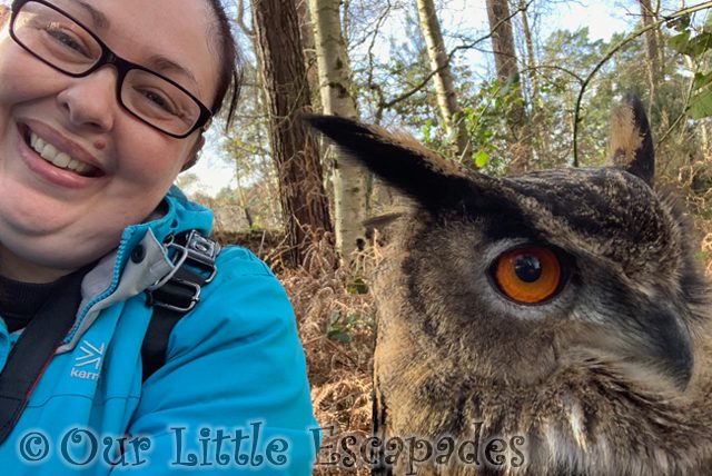 jane eagle owl selfie