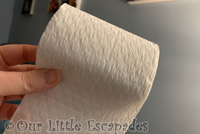 janes hand holding toilet roll 2022 Week 6