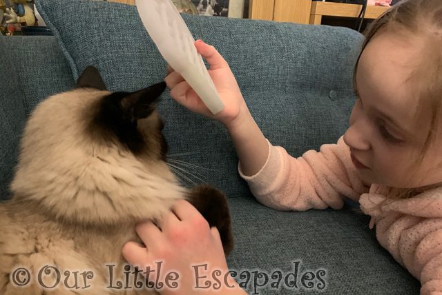 little e showing cat poppit 2022 Week 6