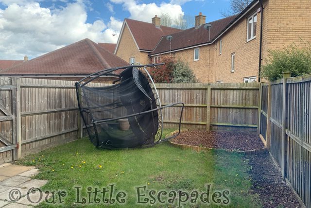 blown over trampoline garden 2022 Week 14