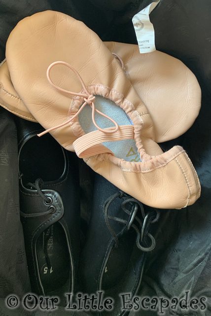 ballet tap shoes in bag 2022 Week 22