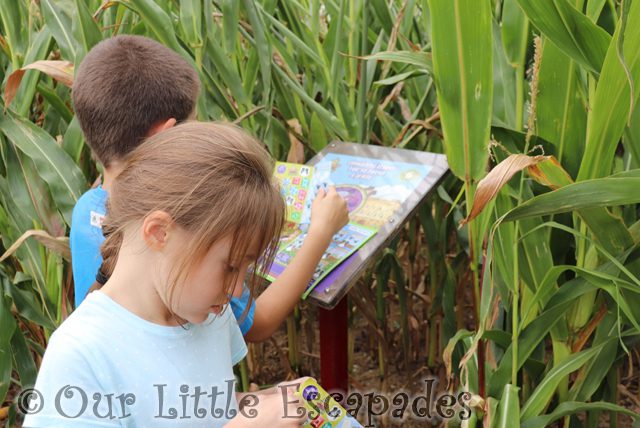 ethan little e finding clues corn maze hirstys family fun park