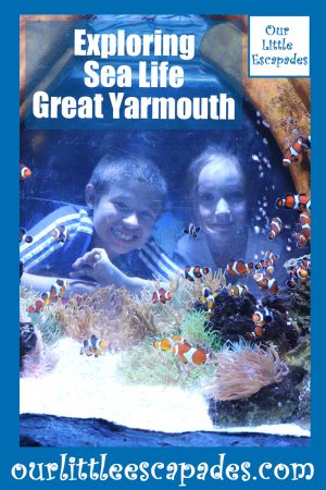 Exploring Sea Life Great Yarmouth