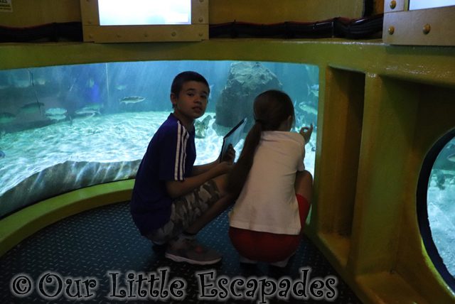 ethan little e submarine viewing area sea life great yarmouth