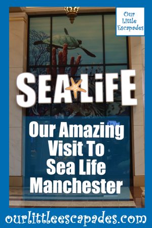Our Amazing Visit To Sea Life Manchester