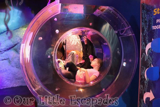 ethan little e sitting in jellyfish circle tank sea life manchester