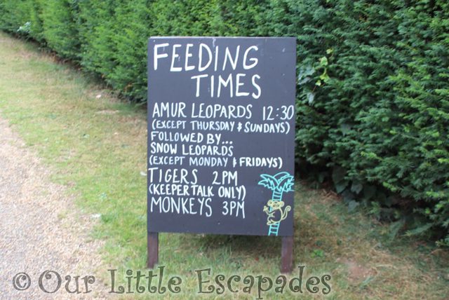 feeding times thrigby hall wildlife gardens