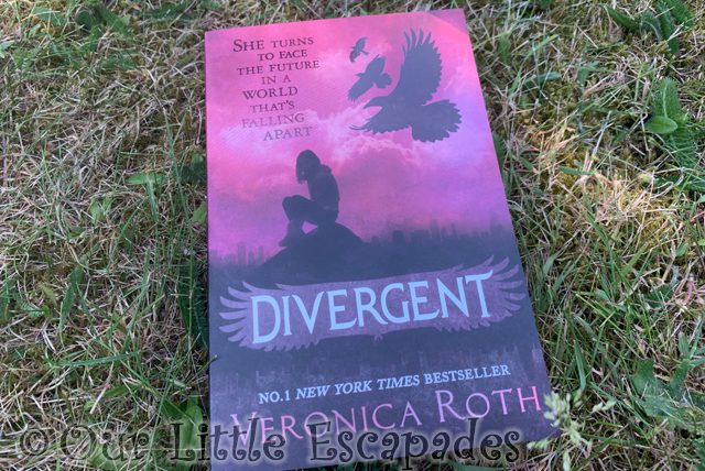 divergent veronica roth book grass project 365 2023