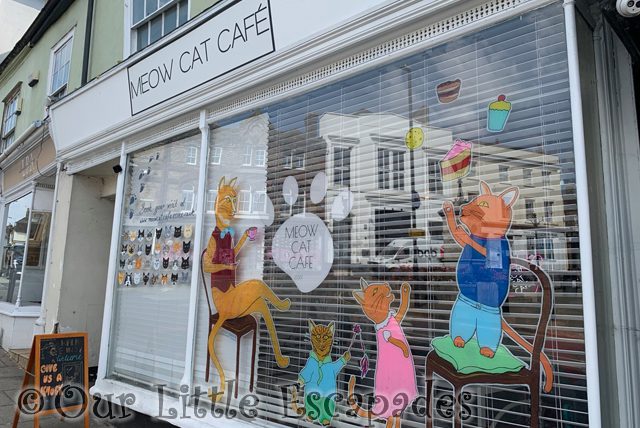 cats painted wondow shop front meow cat cafe