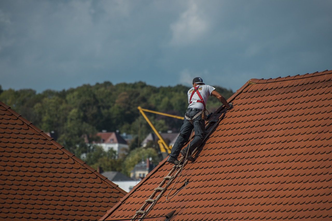 roofers roof roofing